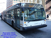 STM-40882-032408-08.jpg