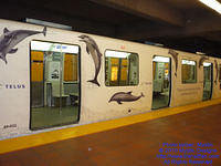 STM-80032-100310-01