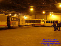 STTR-8805-120207-02.jpg