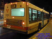 STTR-0203-120207-01.jpg