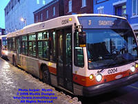 STTR-0204-120207-01.jpg