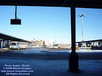 STL-MM-010509-03.jpg