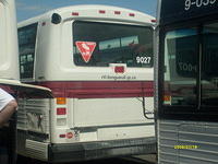 S6304916.JPG