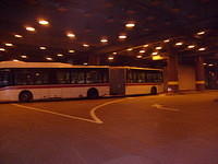 S6300645.JPG
