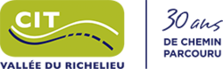 CITVR 30-Logo.png